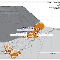 Eskay Creek Project - Section 10150N