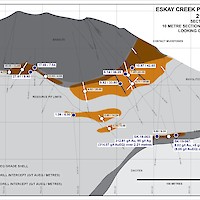 Eskay Creek Project  - 21 A Zone Section 10020 N