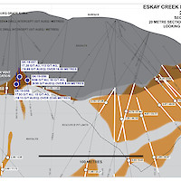 Eskay Creek Project - 21A Zone Section 10000N
