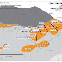Eskay Creek 21A Zone Cross Section 10000N Looking Grid North