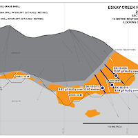 Eskay Creek 21A Zone Cross Section 10020N