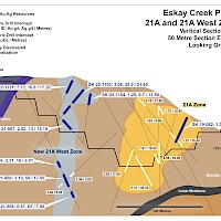 Eskay Creek - Vertical Section 9840N